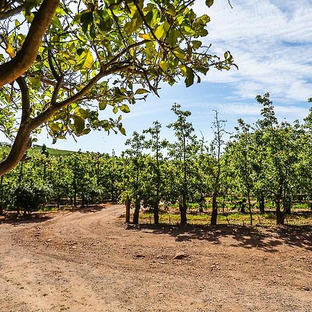 Galileo Farm Elgin (Western Cape) Exterior foto