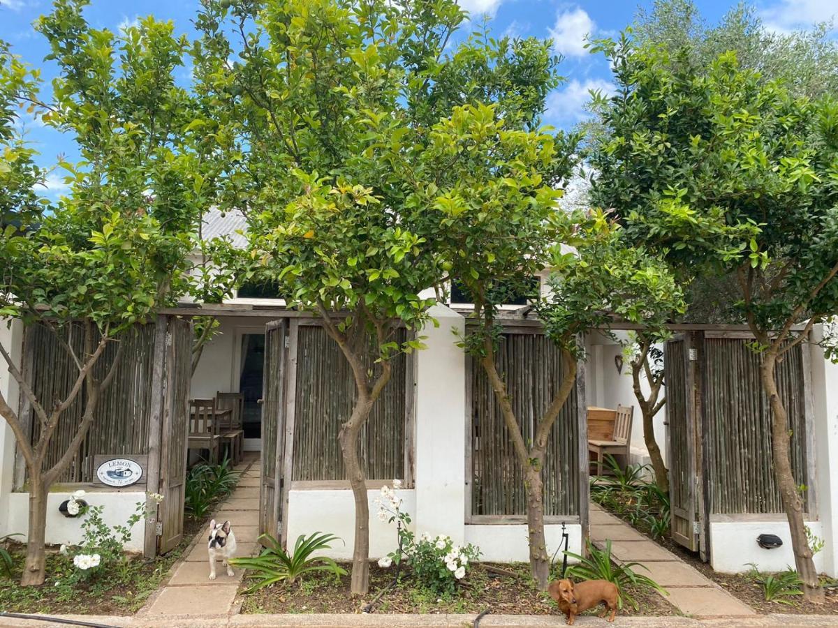 Galileo Farm Elgin (Western Cape) Exterior foto