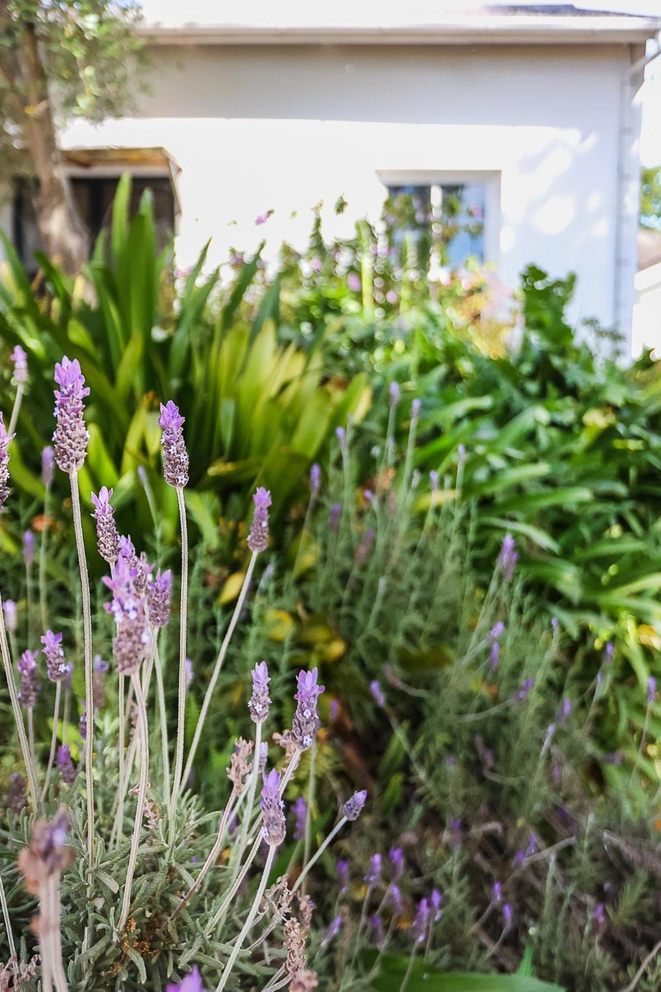 Galileo Farm Elgin (Western Cape) Exterior foto