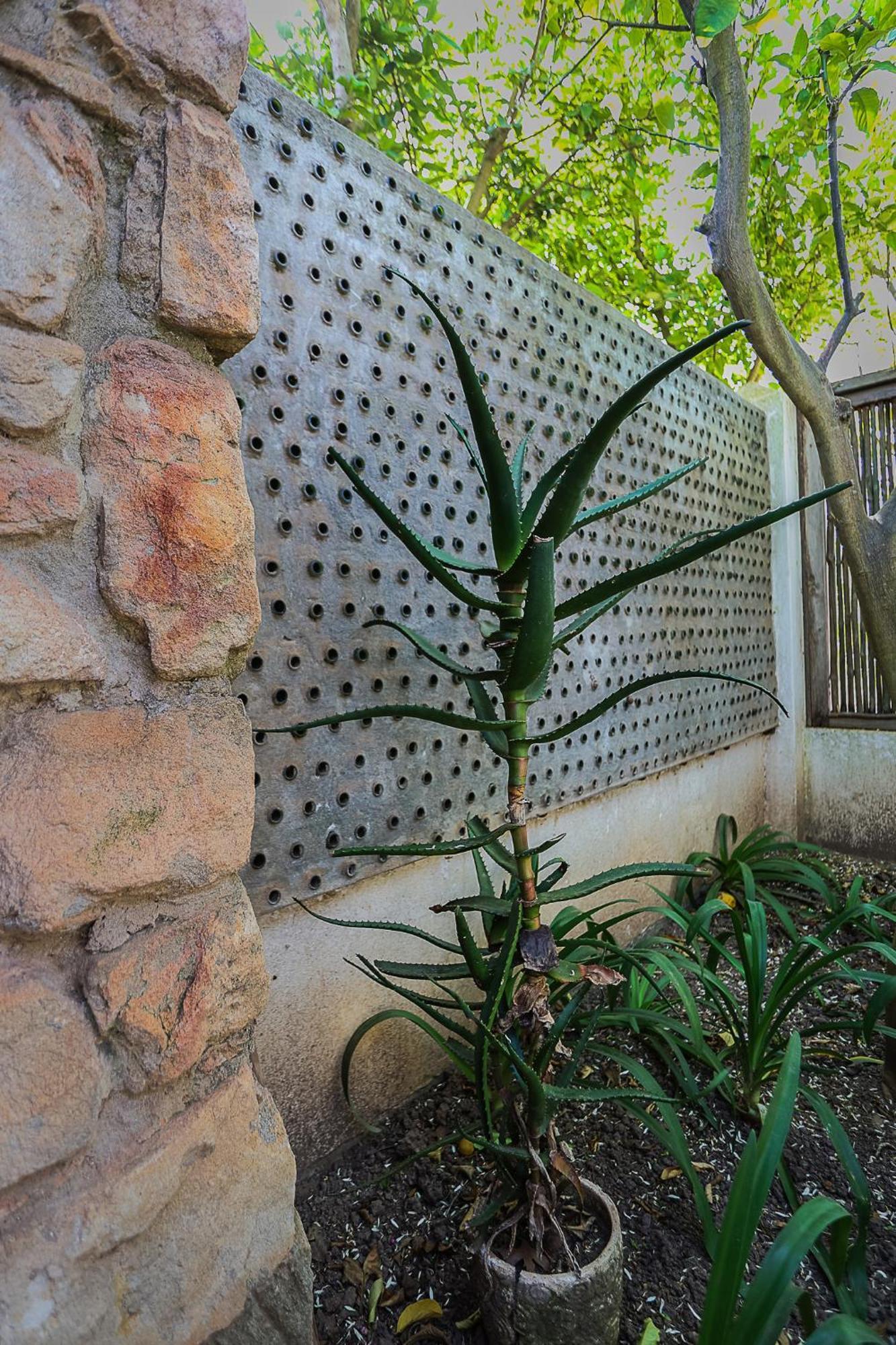 Galileo Farm Elgin (Western Cape) Exterior foto