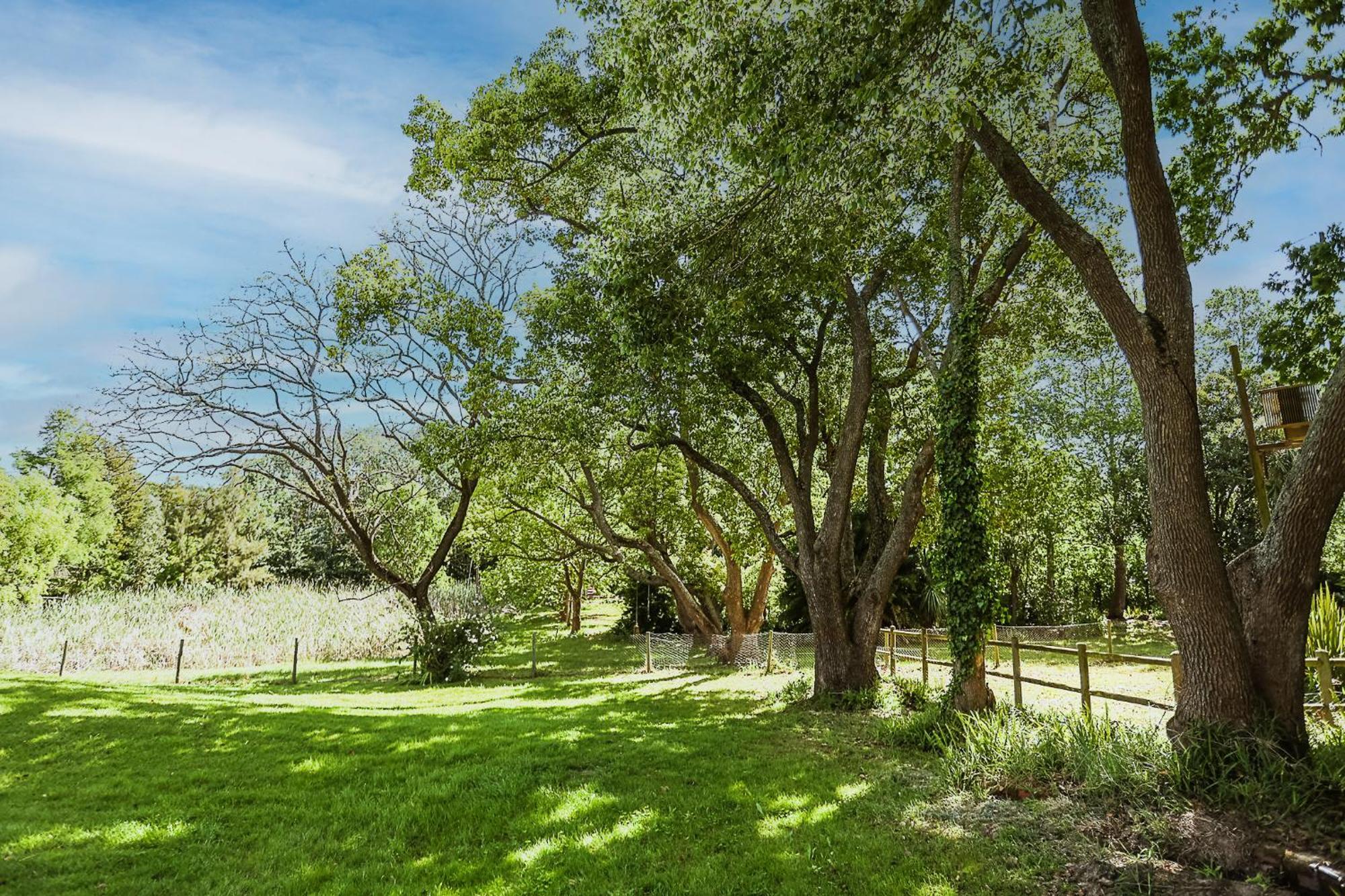 Galileo Farm Elgin (Western Cape) Exterior foto