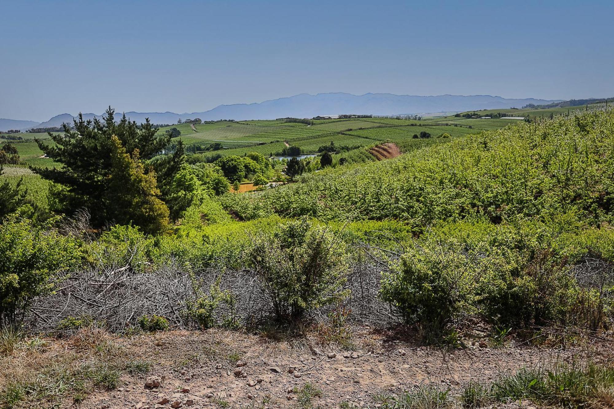 Galileo Farm Elgin (Western Cape) Exterior foto