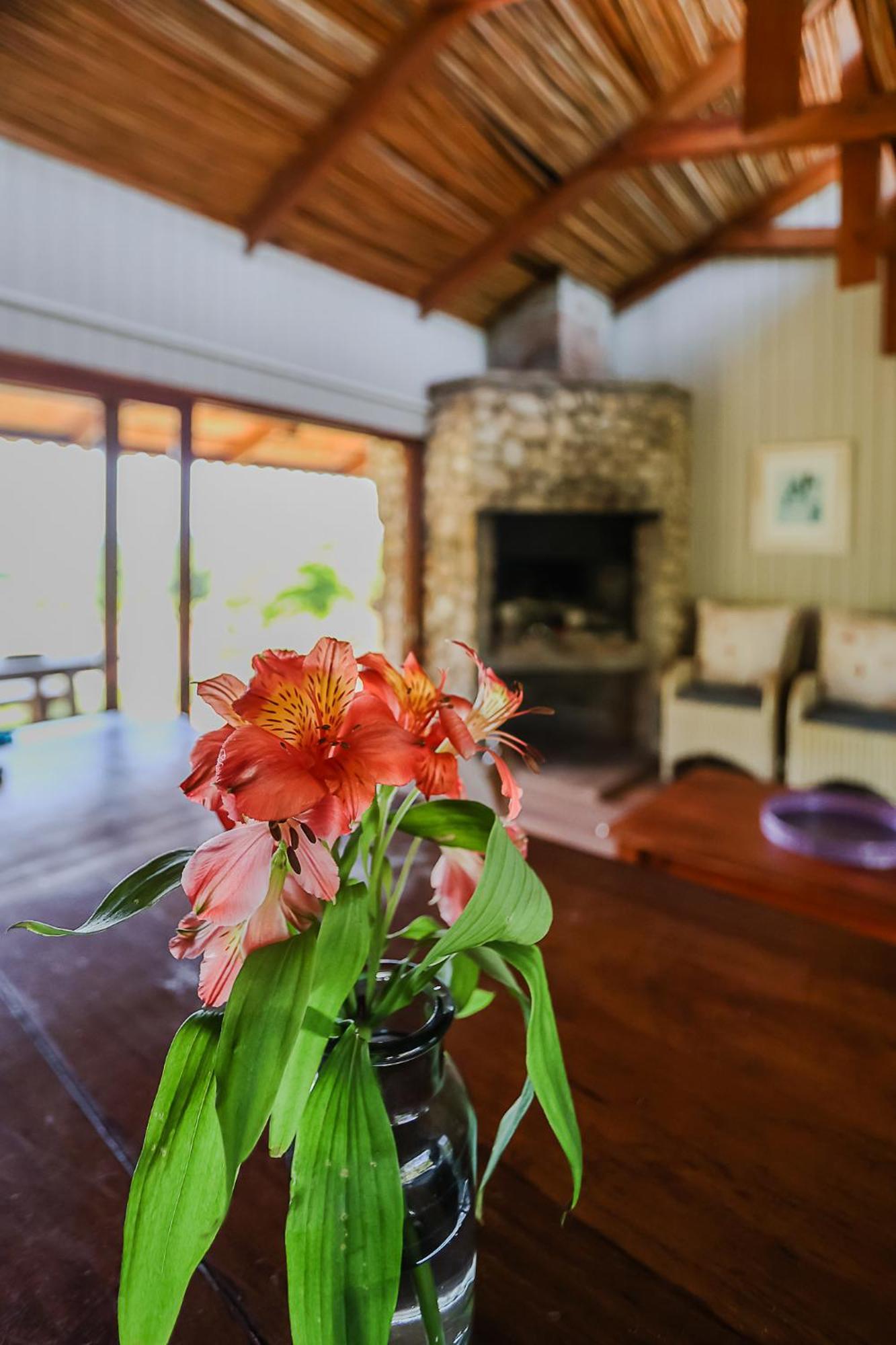Galileo Farm Elgin (Western Cape) Quarto foto