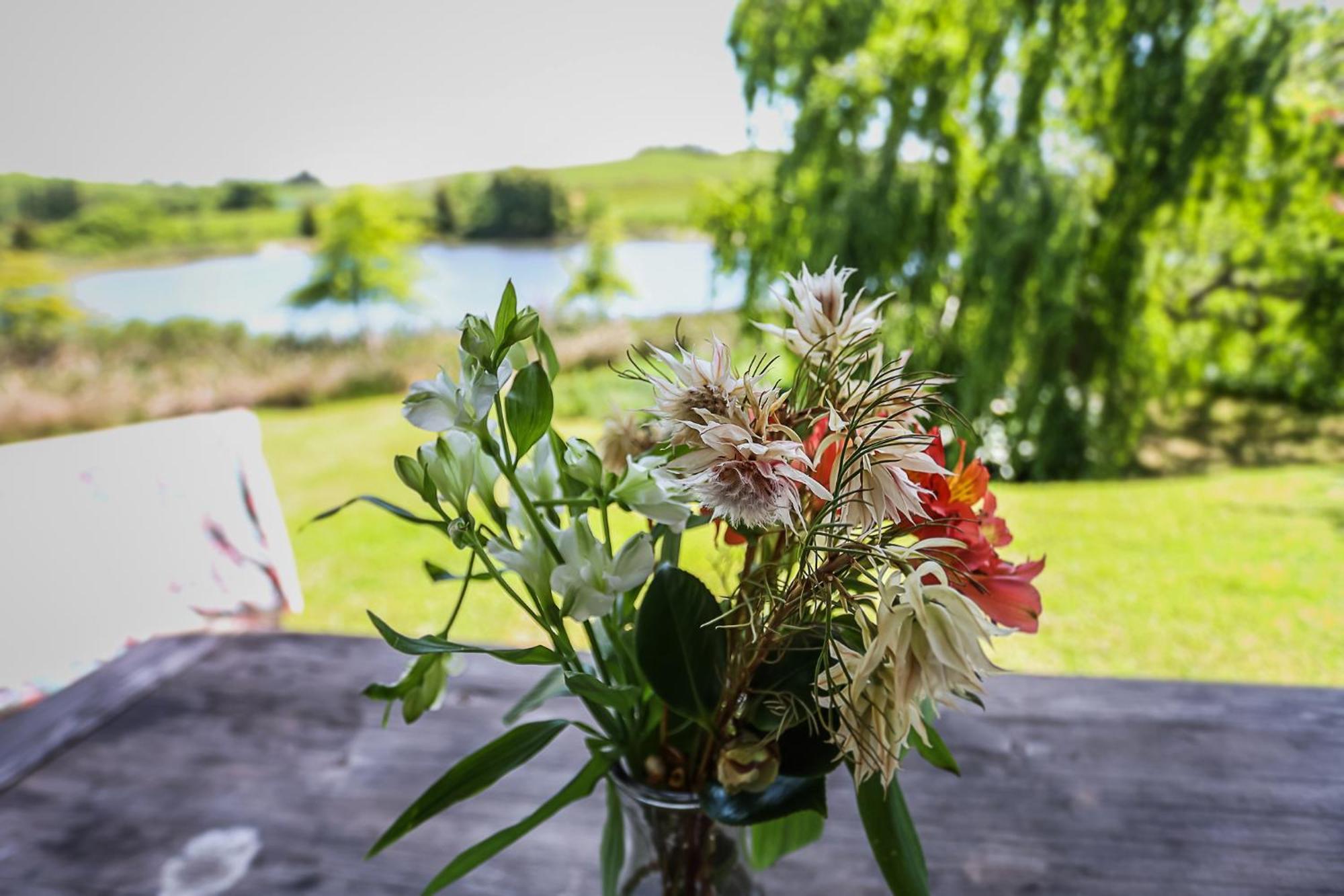 Galileo Farm Elgin (Western Cape) Quarto foto