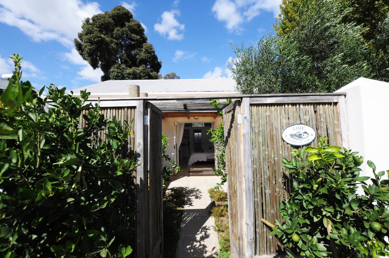 Galileo Farm Elgin (Western Cape) Exterior foto