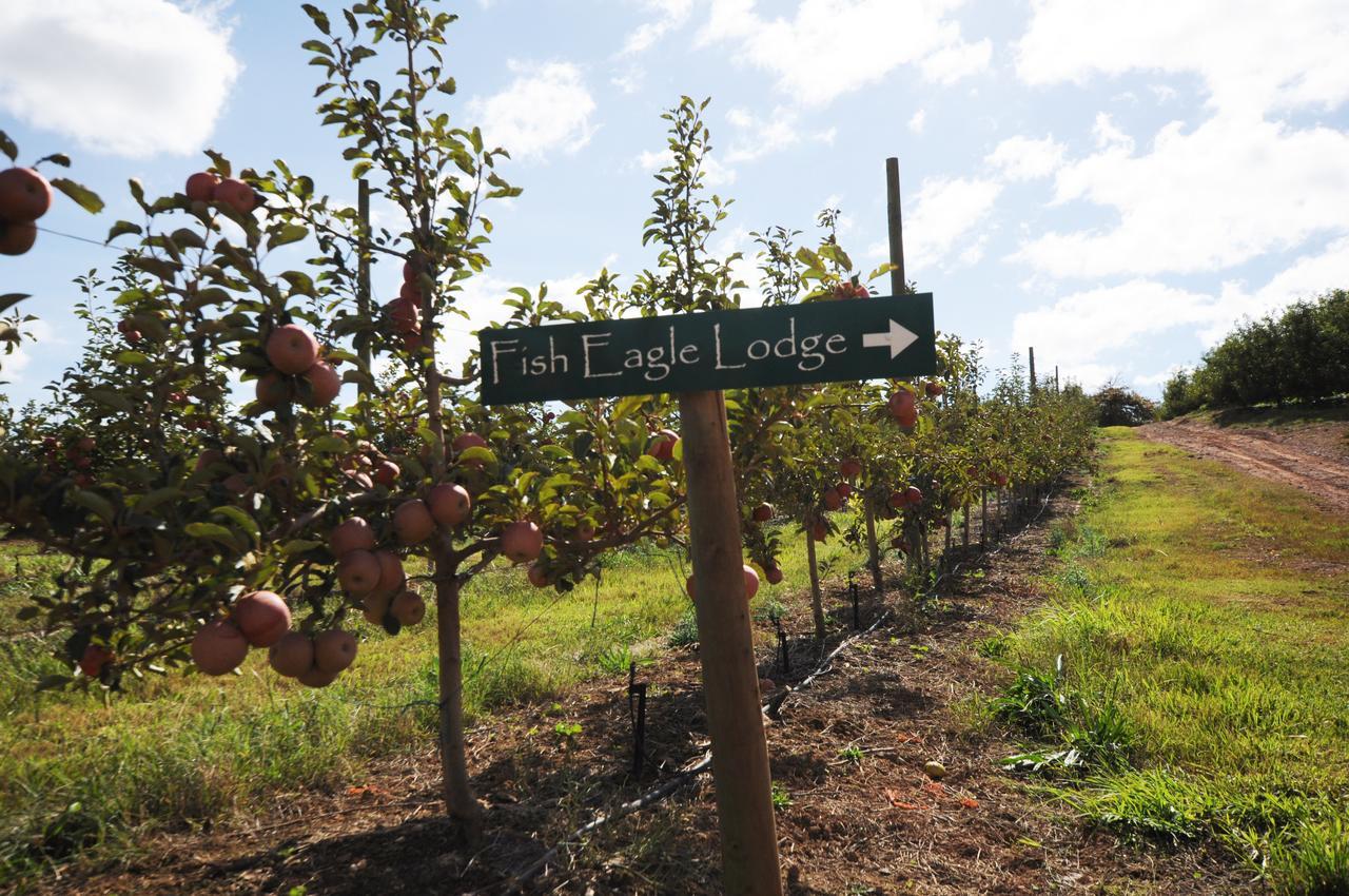 Galileo Farm Elgin (Western Cape) Exterior foto