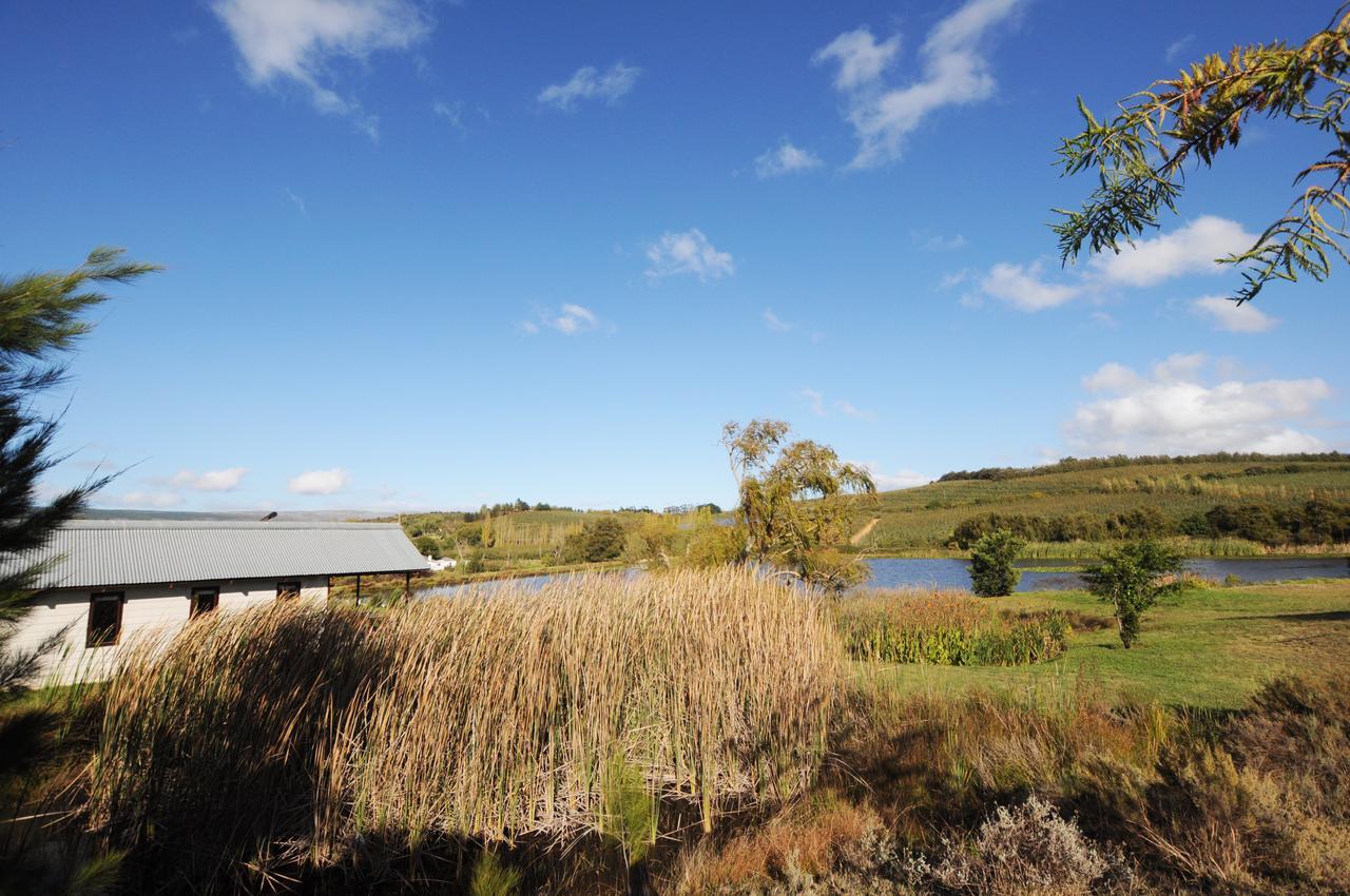 Galileo Farm Elgin (Western Cape) Exterior foto